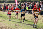 Boys under-11s Start Fitness North Eastern Harriers League, Wrekenton, Gateshead. Photo:  David T. Hewitson/Sports for All Pics